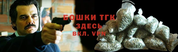 дмт Козловка